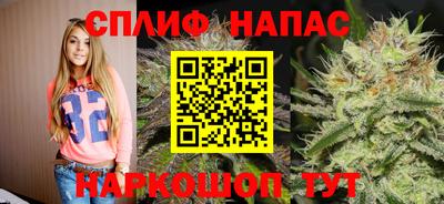 тгк Пенза