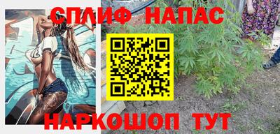 молекула духа Партизанск
