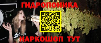 молекула духа Партизанск